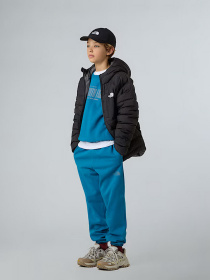 Куртки и дубленки The North Face модель NF0A88TWWOO1 Фото