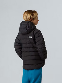 Куртки и дубленки The North Face модель NF0A88TWWOO1 Фото