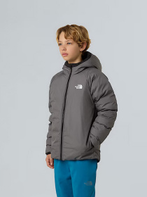 Куртки и дубленки The North Face модель NF0A88TWWOO1 Фото