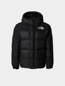 Куртки та дублянки The North Face модель NF0A88UYKX71 Фото