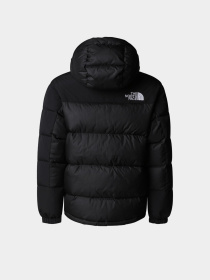 Куртки та дублянки The North Face модель NF0A88UYKX71 Фото