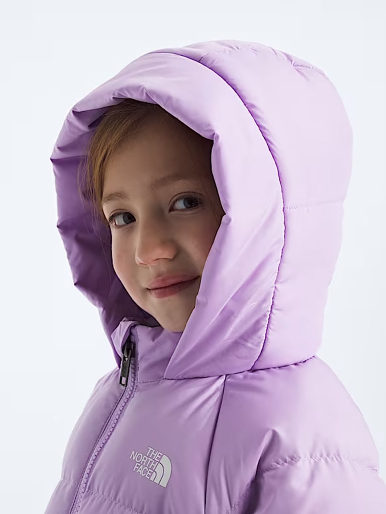Куртки та дублянки The North Face модель NF0A88VFQZI1 Фото
