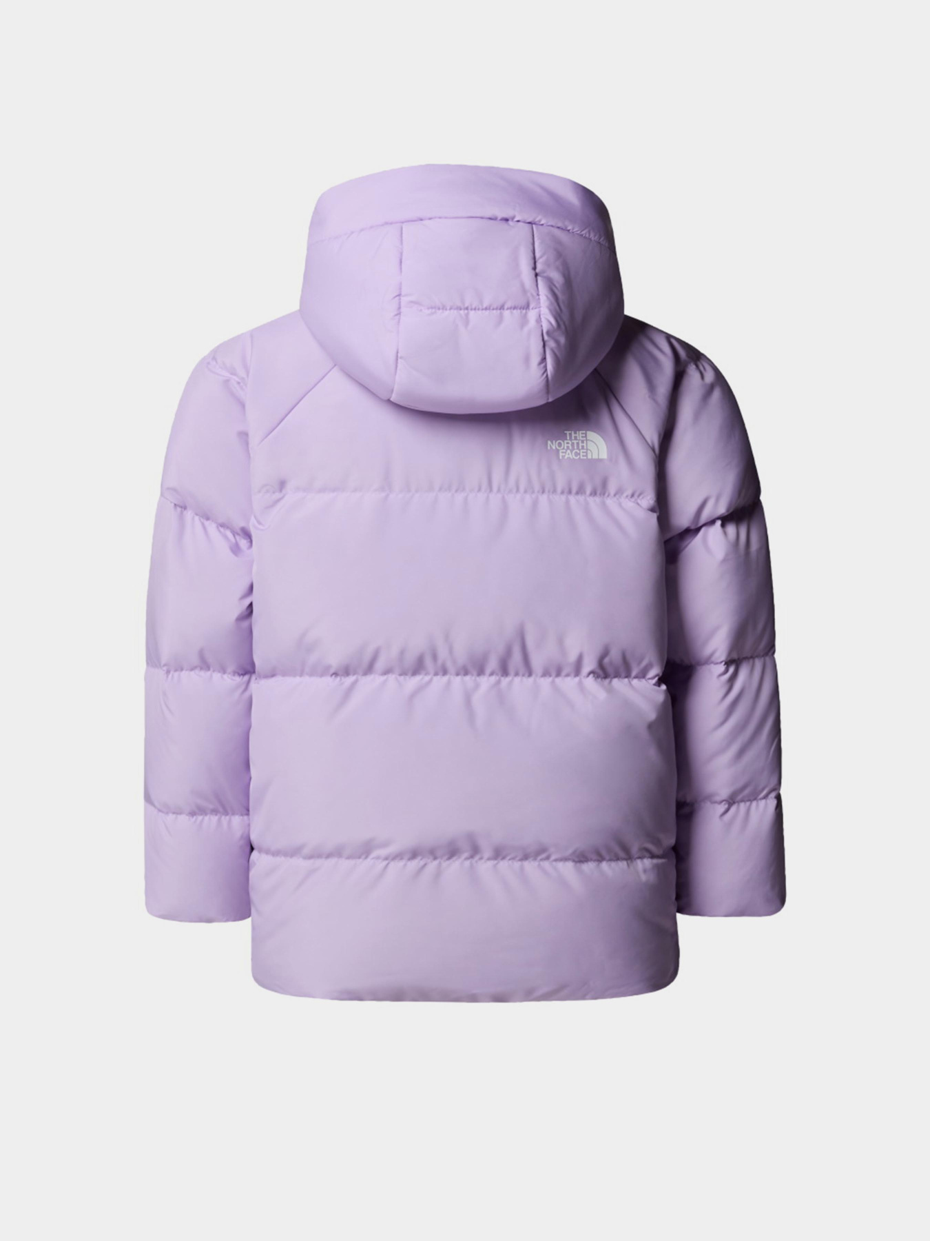 Куртки та дублянки The North Face модель NF0A88VFQZI1 Фото