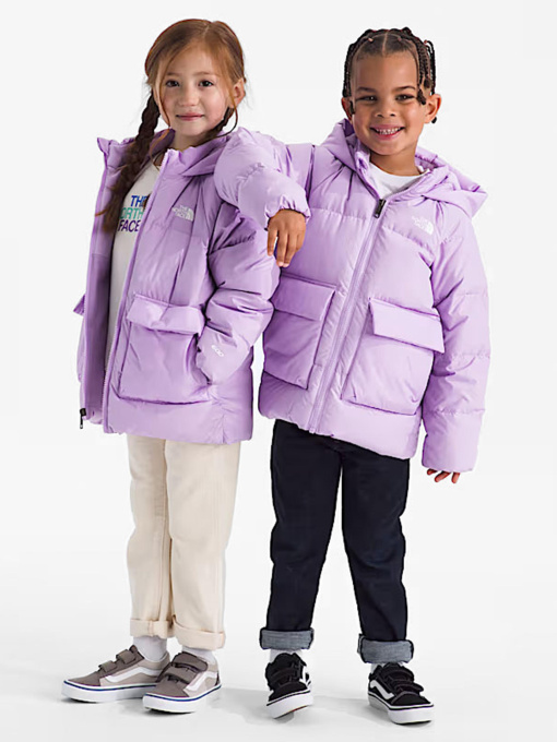 Куртки и дубленки The North Face модель NF0A88VFQZI1 Фото