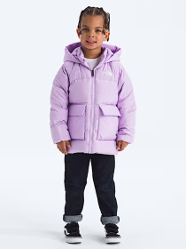 Куртки та дублянки The North Face модель NF0A88VFQZI1 Фото