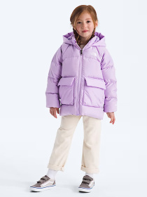 Куртки та дублянки The North Face модель NF0A88VFQZI1 Фото
