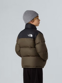 Куртки та дублянки The North Face модель NF0A8A4C21L1 Фото