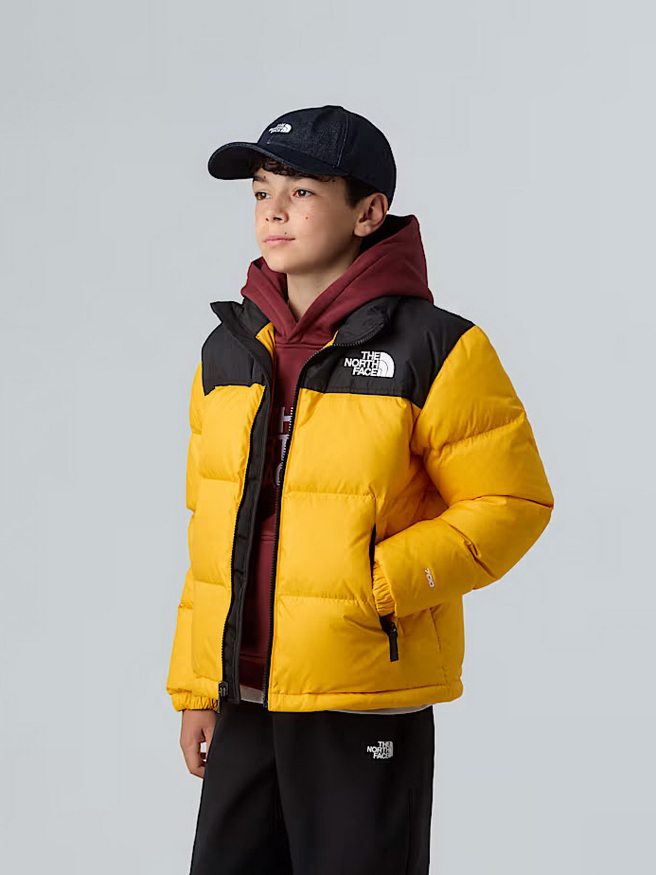 Куртки та дублянки The North Face 1996 Retro Nuptse модель NF0A8A4CGO71 Фото