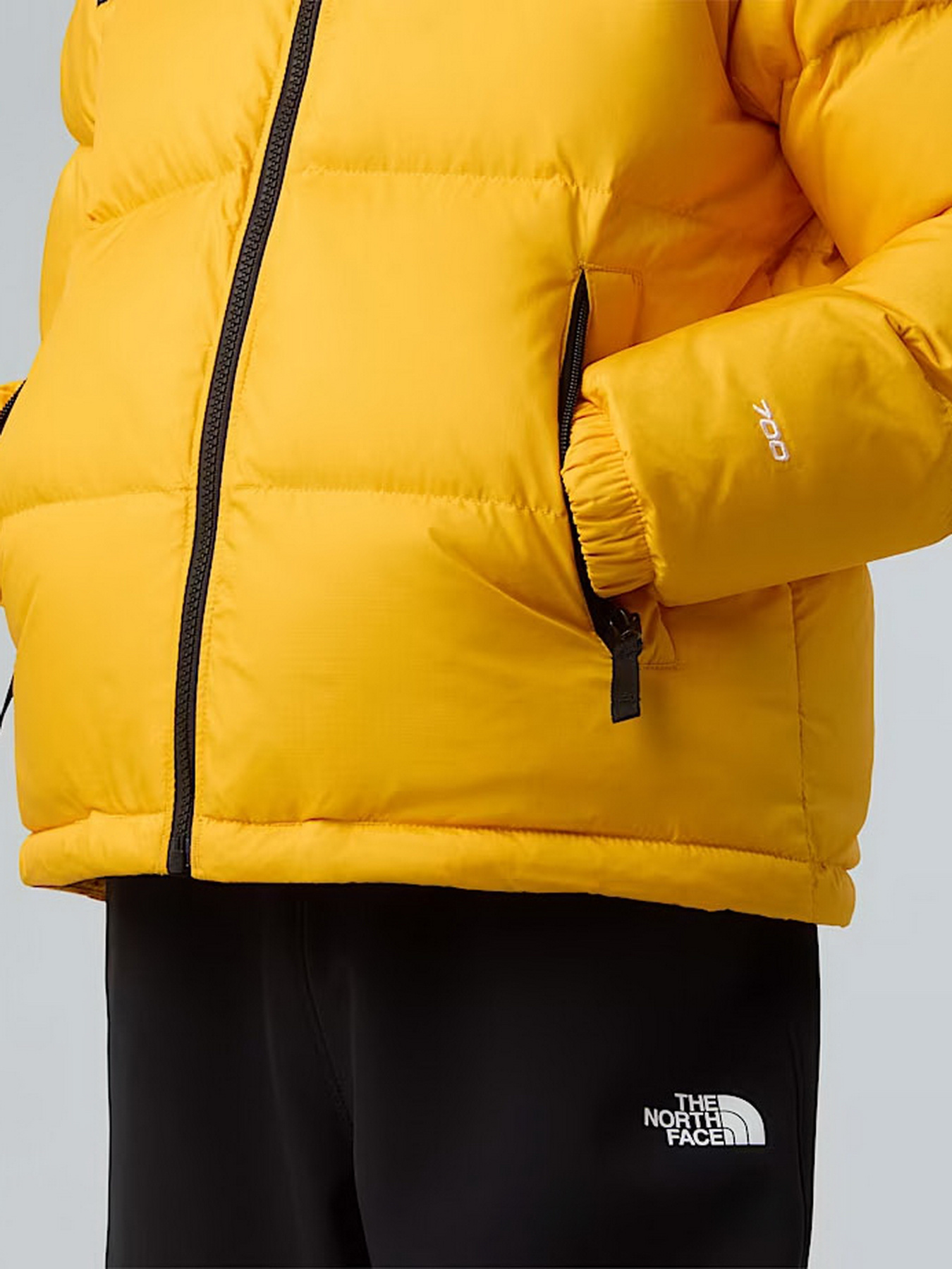 Куртки та дублянки The North Face 1996 Retro Nuptse модель NF0A8A4CGO71 Фото