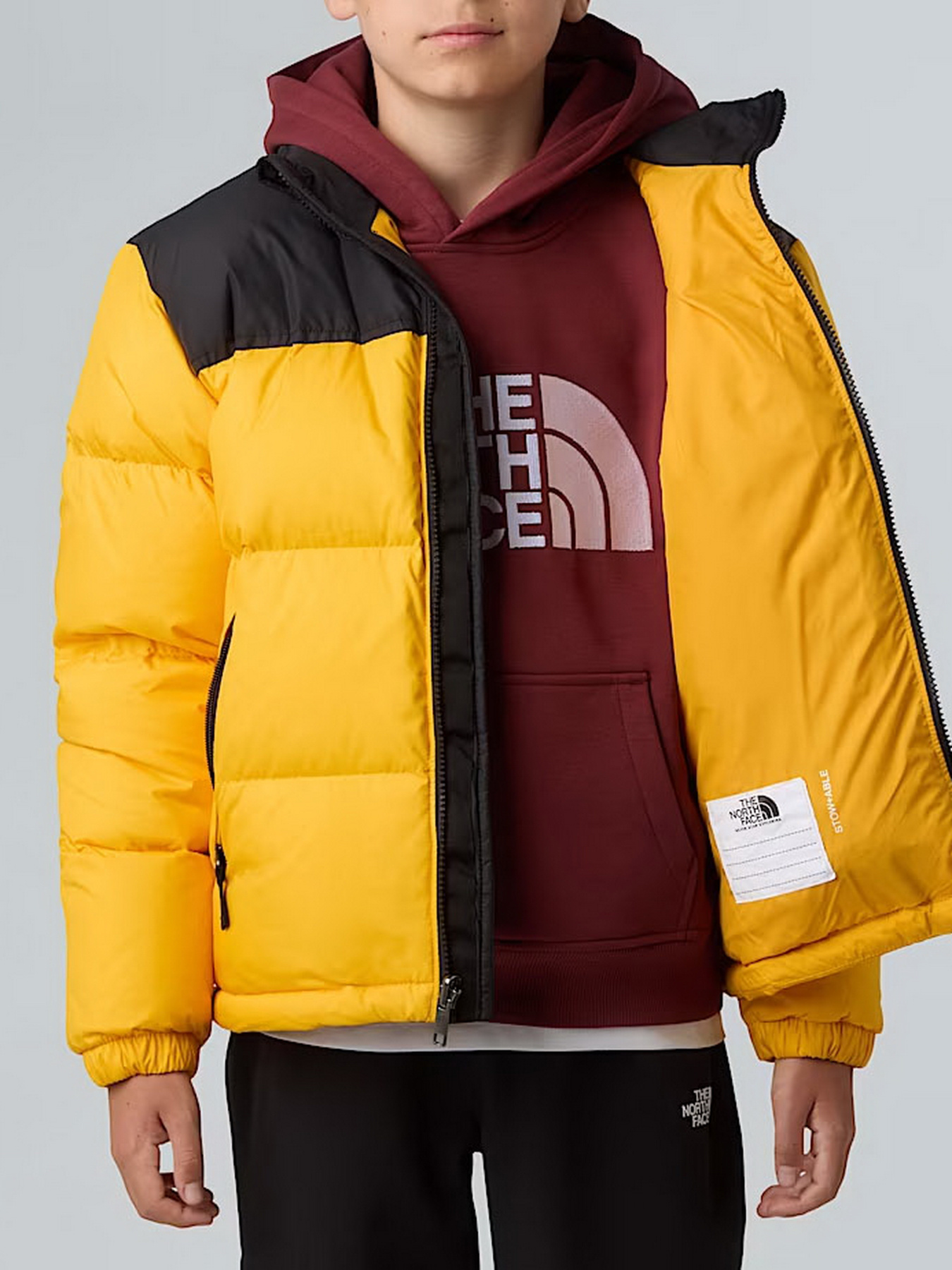 Куртки та дублянки The North Face 1996 Retro Nuptse модель NF0A8A4CGO71 Фото
