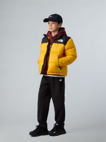 Куртки та дублянки The North Face 1996 Retro Nuptse модель NF0A8A4CGO71 Фото
