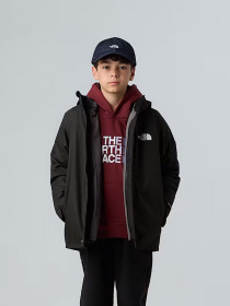 Куртки та дублянки The North Face модель NF0A8CUSJK31 Фото