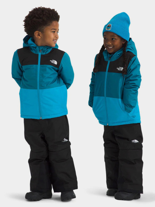 Куртки и дубленки The North Face модель NF0A88VKD201 Фото