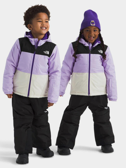 Куртки и дубленки The North Face модель NF0A88VKE151 Фото