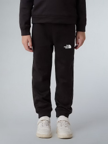 Костюми The North Face Performance модель NF0A8CV0JK31 Фото