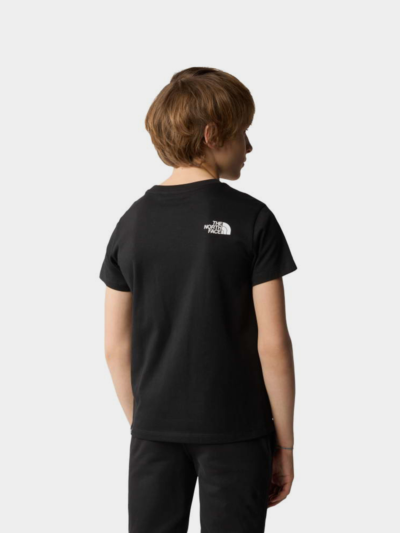 Футболки і поло The North Face TEEN SIMPLE DOME REGULAR SS TE модель NF0A87T4JK31 Фото