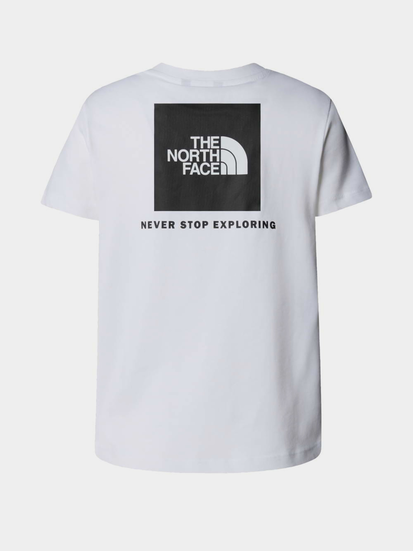 Футболки і поло The North Face TEEN BOX NSE REGULAR SS TEE модель NF0A8EFNFN41 Фото