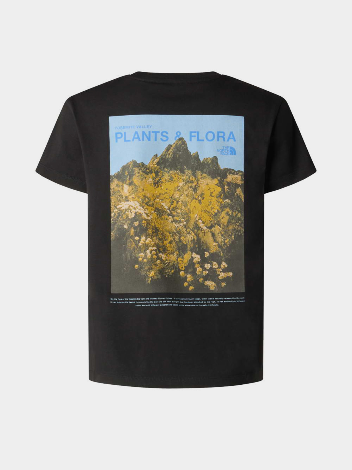 Футболки і поло The North Face G FLORA RELAXED SHORT SLEEVE T модель NF0A8G1MJK31 Футболки і поло The North Face G FLORA RELAXED SHORT SLEEVE T модель NF0A8G1MJK31 Фото