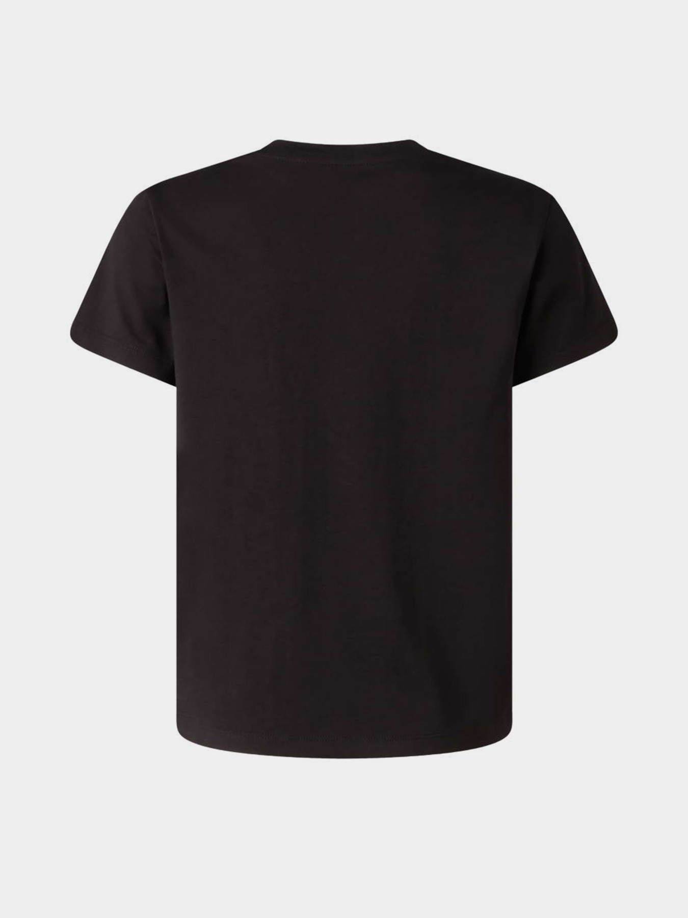 Футболки і поло The North Face B LIQUID LOGO REGULAR SHORT SL модель NF0A8G1WJK31 Футболки і поло The North Face B LIQUID LOGO REGULAR SHORT SL модель NF0A8G1WJK31 Фото