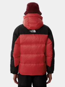 Куртки та дублянки The North Face Search & Rescue Himalayan модель NF0A55I6KZ31 Фото