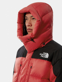 Куртки та дублянки The North Face Search & Rescue Himalayan модель NF0A55I6KZ31 Фото