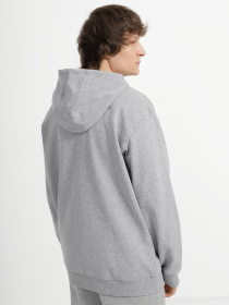 Худи и свитшоты The North Face Oversized модель NF0A5IGCDYX1 Фото