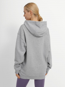 Худи и свитшоты The North Face Oversized модель NF0A5IGCDYX1 Фото