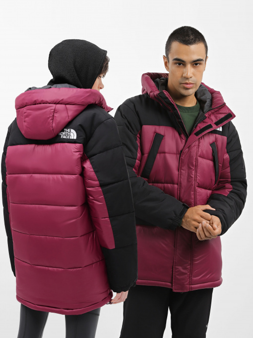 Куртки и дубленки The North Face HMLYN Insulated модель NF0A4QZ5KK91 Фото