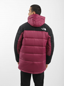 Куртки та дублянки The North Face HMLYN Insulated модель NF0A4QZ5KK91 Фото