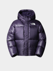 Куртки та дублянки The North Face модель NF0A8DQB1JI1 Фото