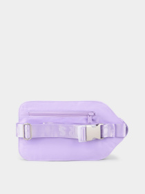 Сумки Skechers Setter Waistpack модель SKCH6605 PUR Фото