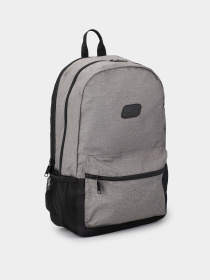 Рюкзаки Skechers ESSENTIAL BACKPACK модель SKCH8442 GRY Фото