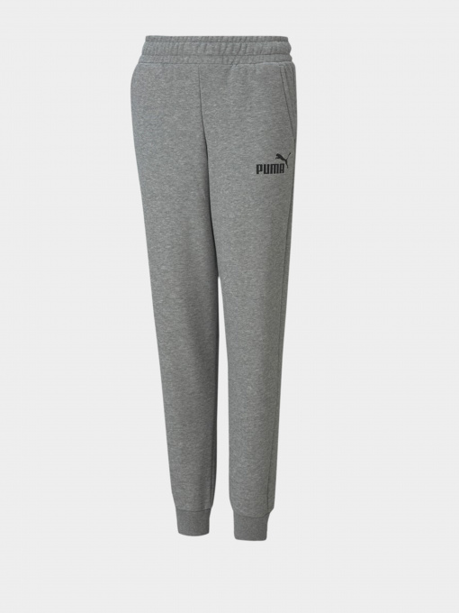 Штани PUMA ESSENTIALS LOGO YOUTH модель 58697403 Фото