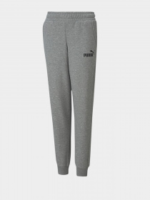 Штани PUMA ESSENTIALS LOGO YOUTH модель 58697403 Фото