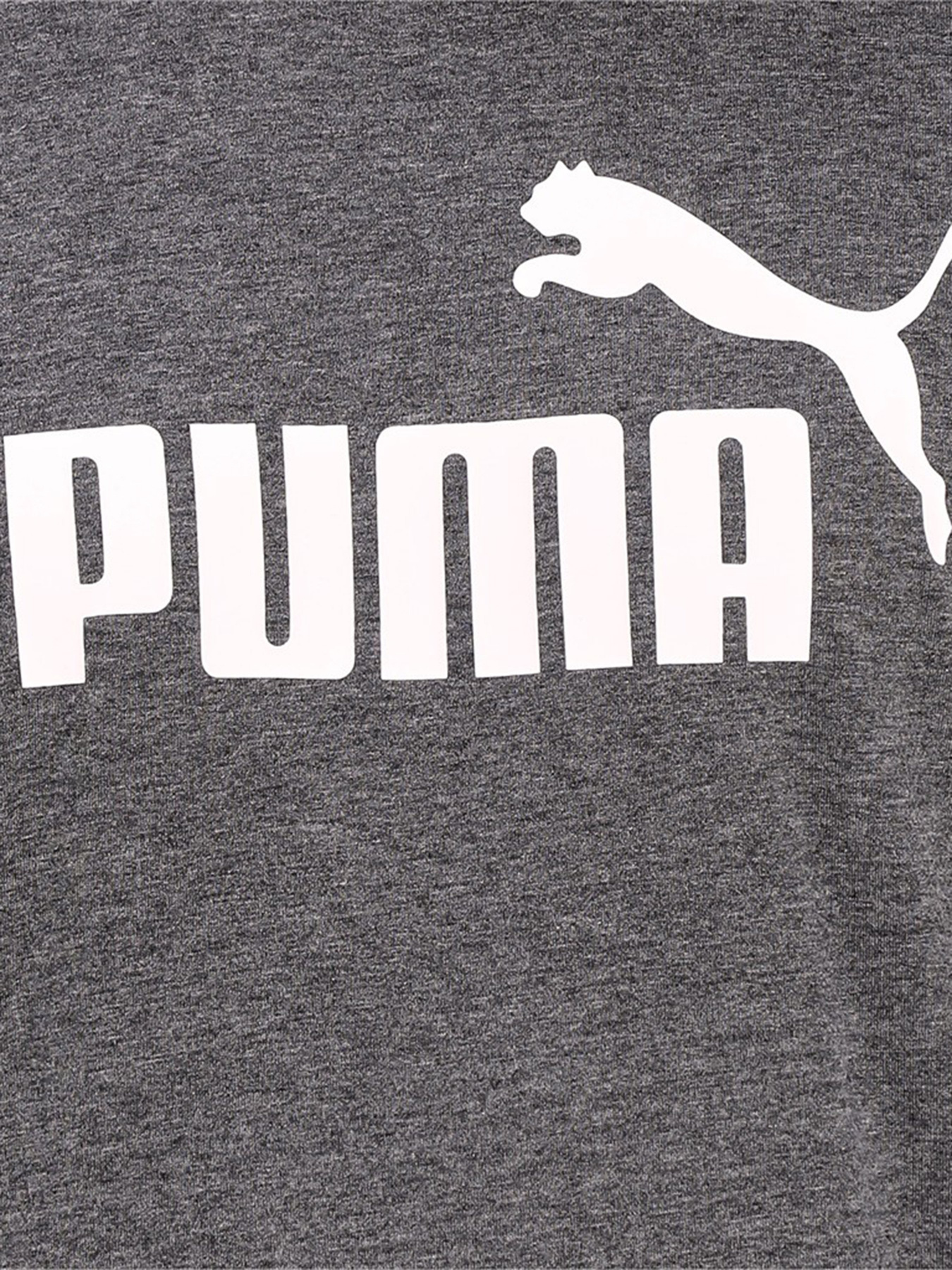 Футболки и поло PUMA Ess Heather Tee модель 58673601 Футболки и поло PUMA Ess Heather Tee модель 58673601 Фото