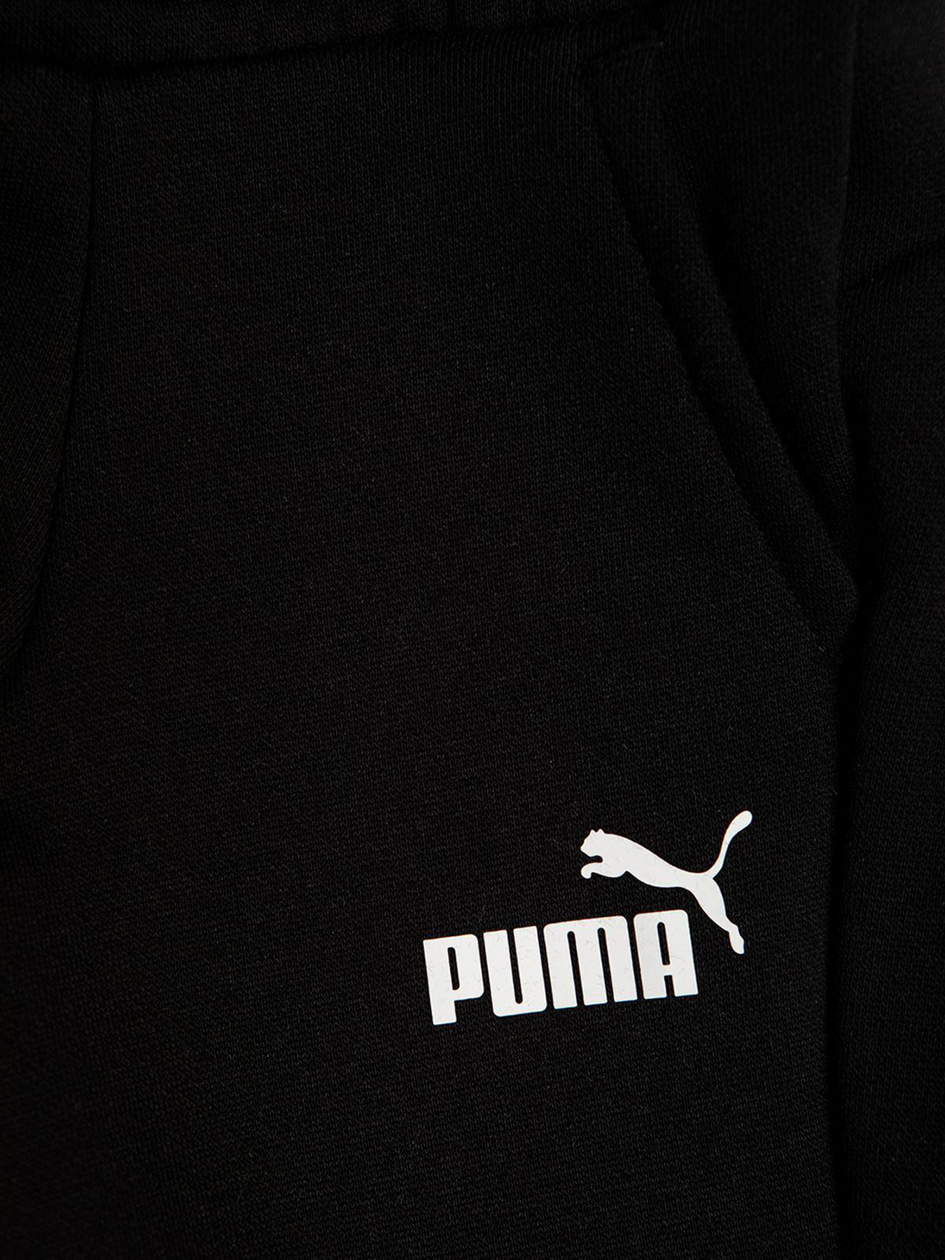 Брюки PUMA ESS Logo Pants FL cl B модель 58697301 Брюки PUMA ESS Logo Pants FL cl B модель 58697301 Фото