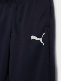 Брюки PUMA ACTIVE Tricot Pants cl модель 58698406 Фото