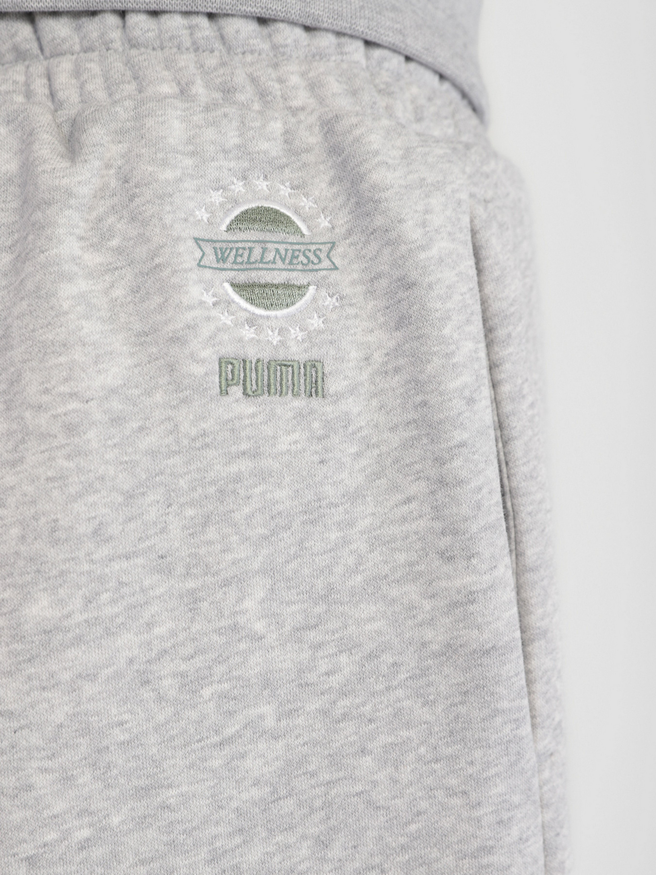 Брюки PUMA WELLNESS CLUB модель 53433004 Фото
