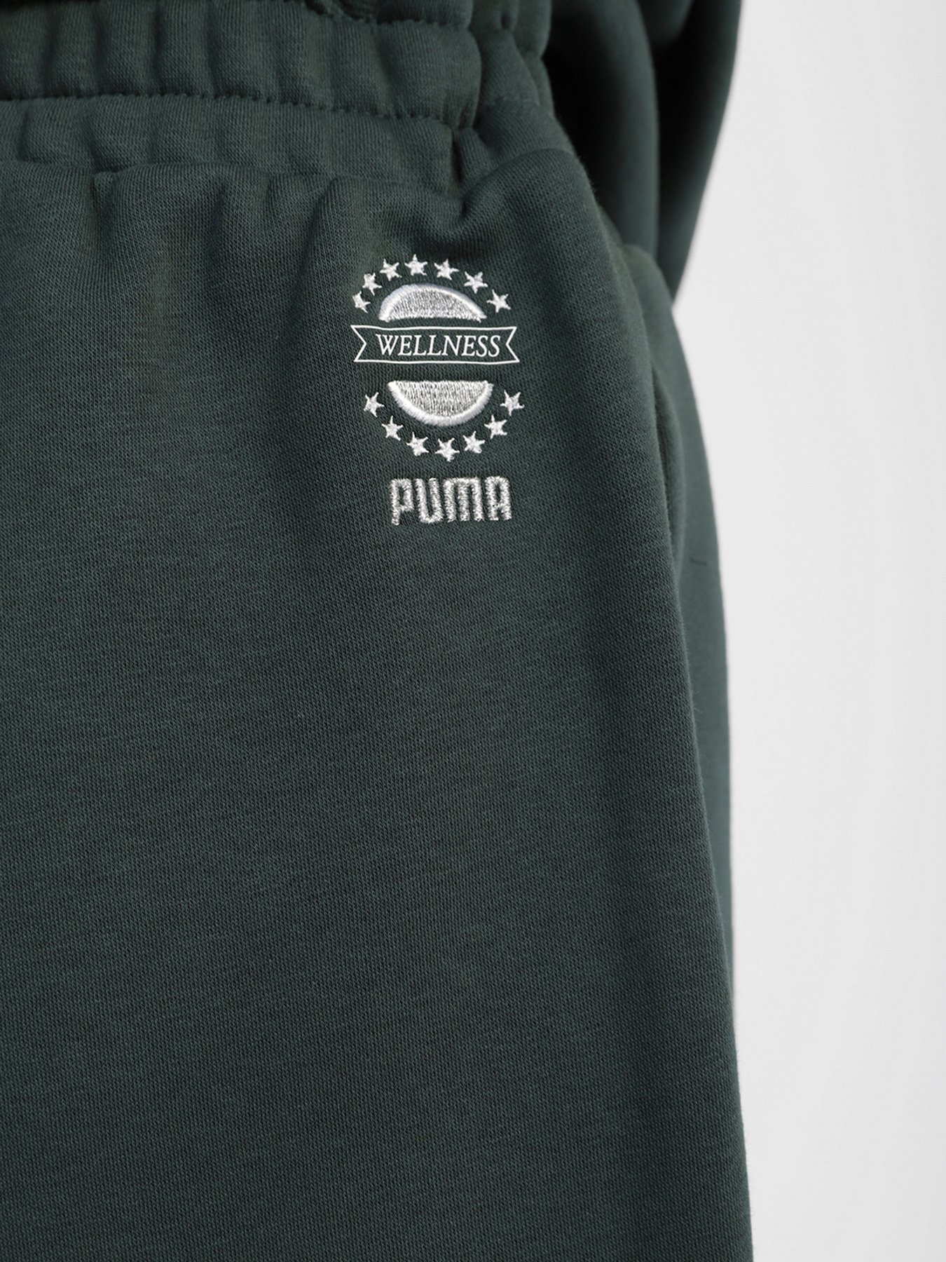Брюки PUMA WELLNESS CLUB модель 53433080 Фото