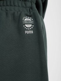 Брюки PUMA WELLNESS CLUB модель 53433080 Фото