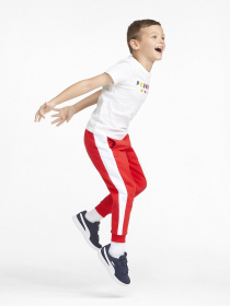 Брюки PUMA x SMILEYWORLD модель 53341311 Фото