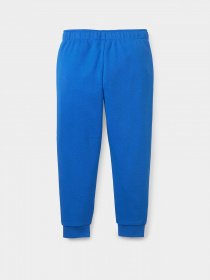 Брюки PUMA Fruitmates модель 84731767 Фото