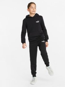 Худі та світшоти PUMA Essentials+ Tape модель 84920201 Фото