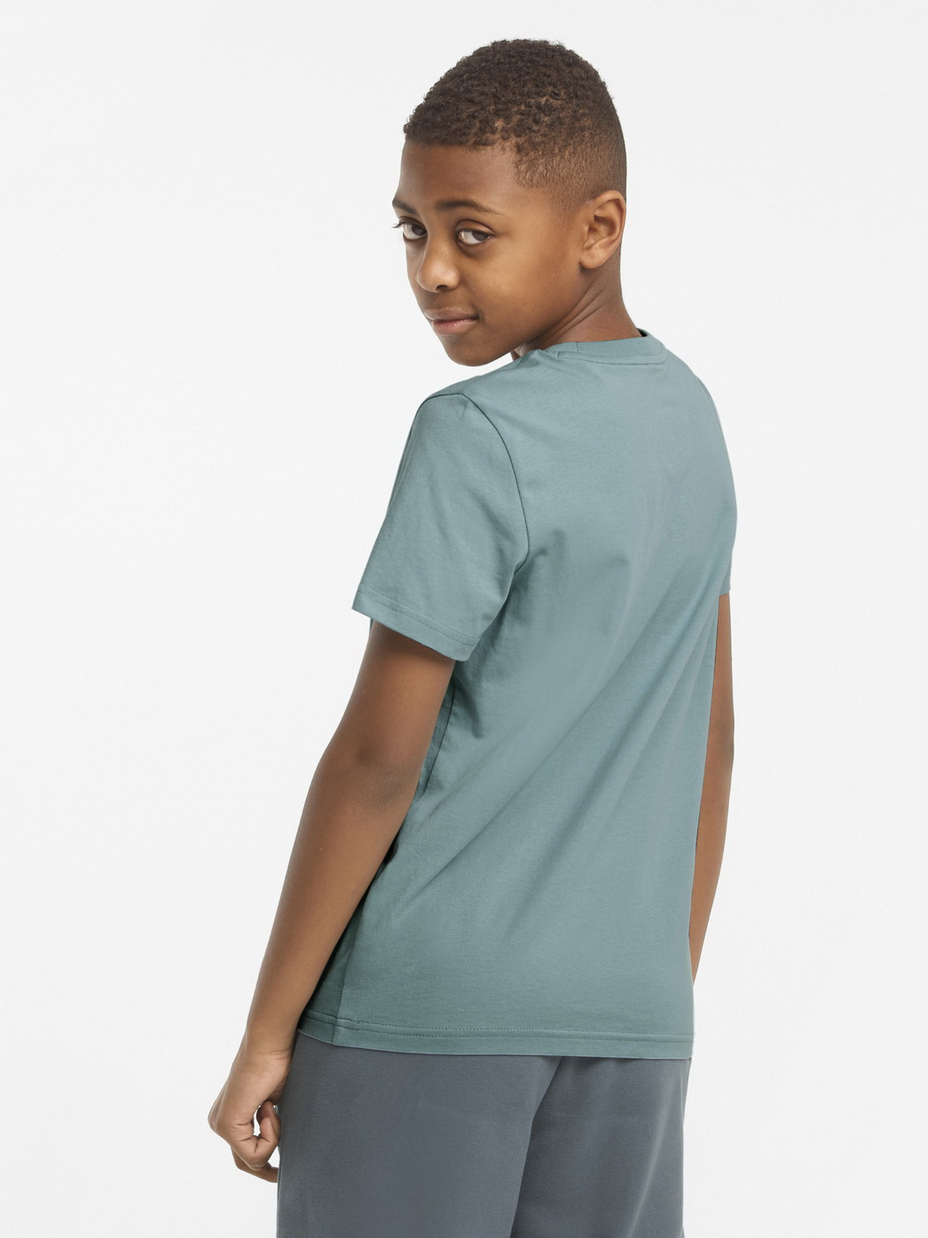 Футболки и поло PUMA Classics Tee B модель 53011550 Футболки и поло PUMA Classics Tee B модель 53011550 Фото