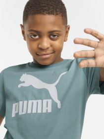 Футболки и поло PUMA Classics Tee B модель 53011550 Фото