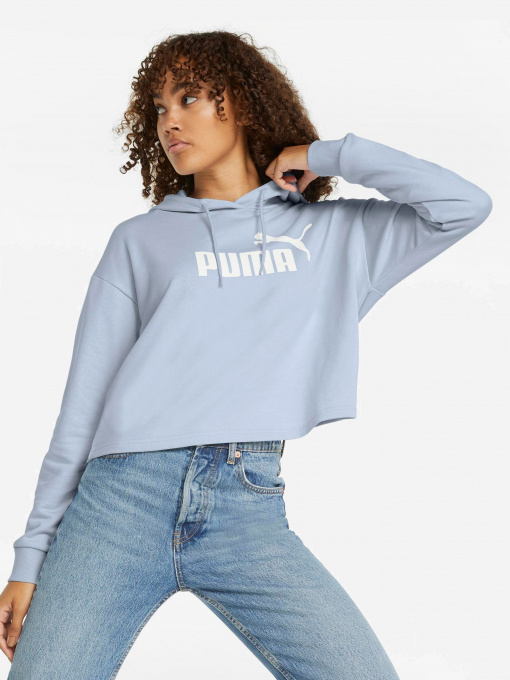 Худі та світшоти PUMA ESSENTIALS LOGO модель 58687083 Фото
