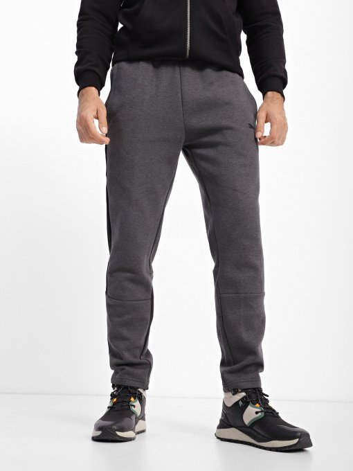 Брюки PUMA Evostripe Core модель 58581407 Фото