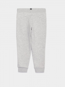 Брюки PUMA Essentials модель 58703704 Фото