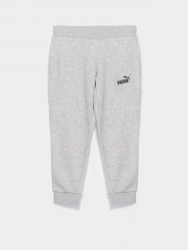 Брюки PUMA Essentials модель 58703704 Фото