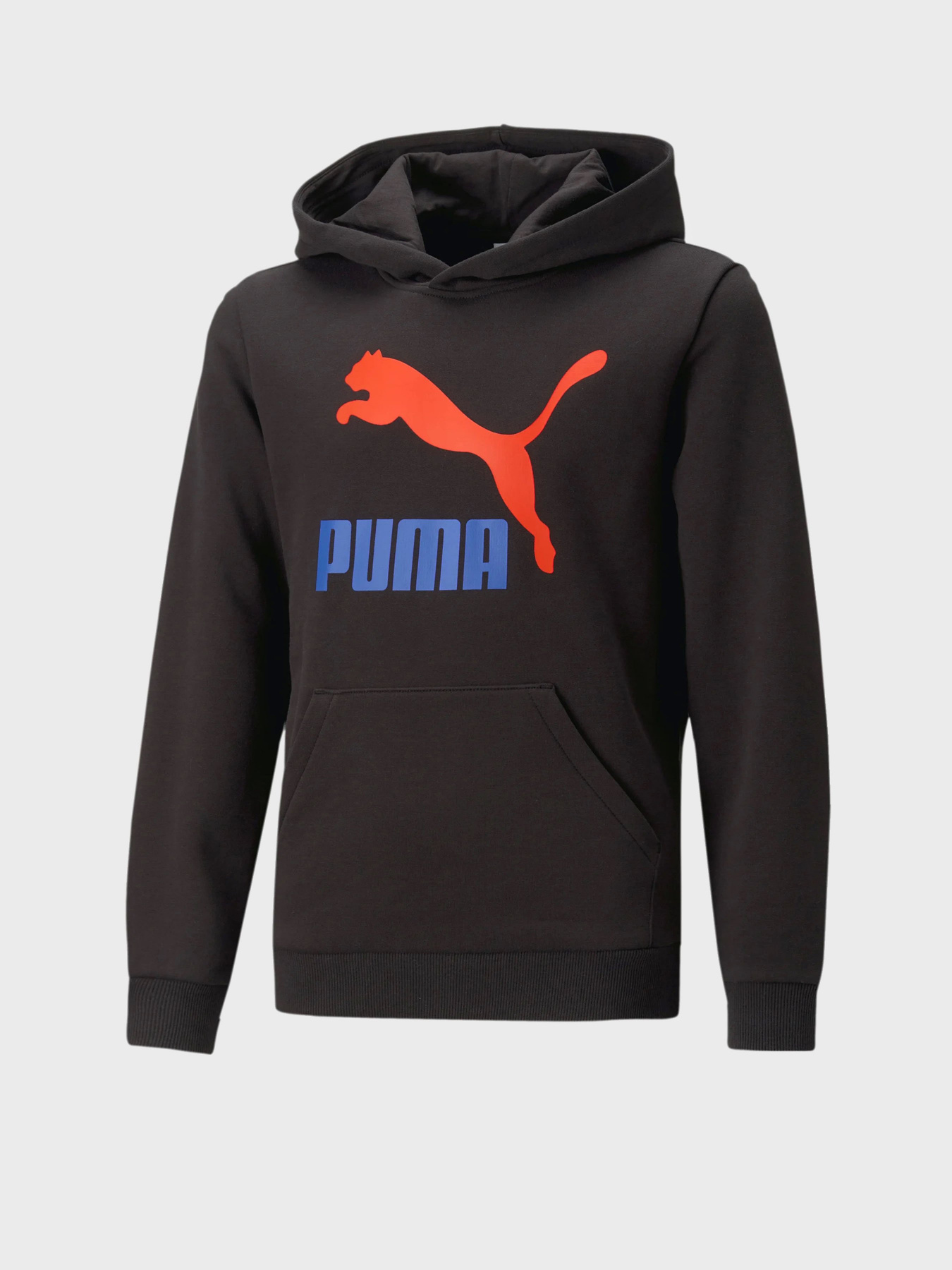 Худі та світшоти PUMA Classics модель 53952701 Худі та світшоти PUMA Classics модель 53952701 Фото